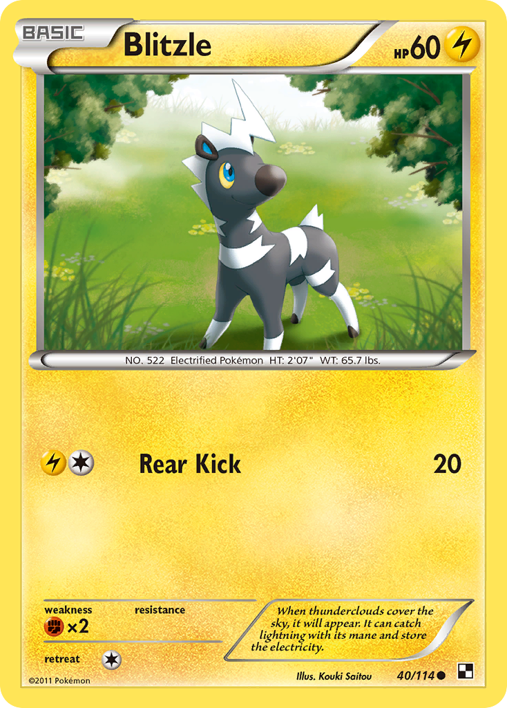 Black & White Blitzle #40/114