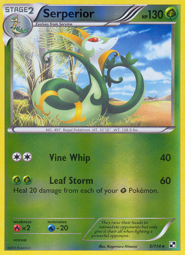 Black & White Serperior #5/114 reverse holo