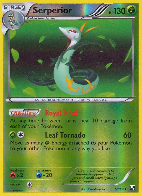 Black & White Serperior #6/114 reverse holo