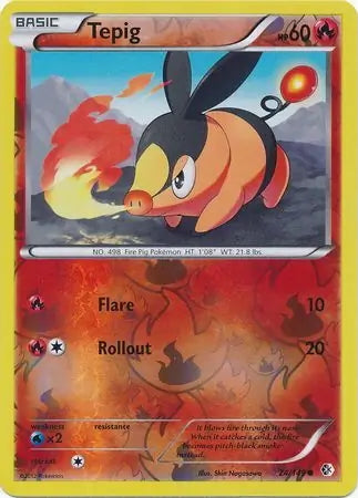 Boundaries Crossed Tepig #24/149 reverse holo