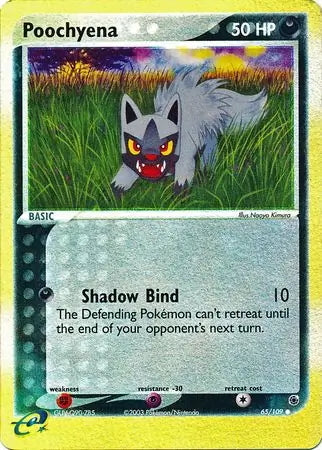 EX Ruby&Sapphire Poochyena #65/109 reverse holo