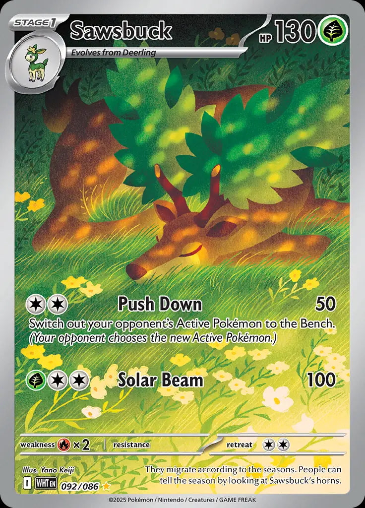 White Flare Sawsbuck #92