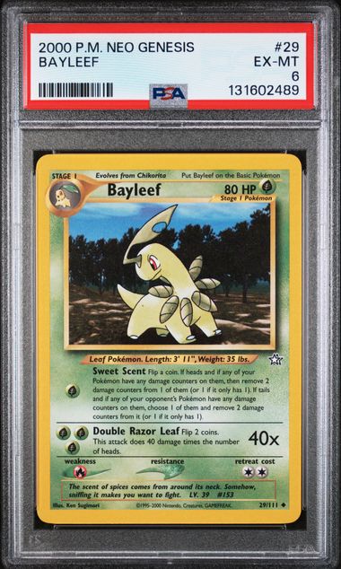 Johto Starter Pokémon Evolutieset – Neo Genesis PSA Slab Collection