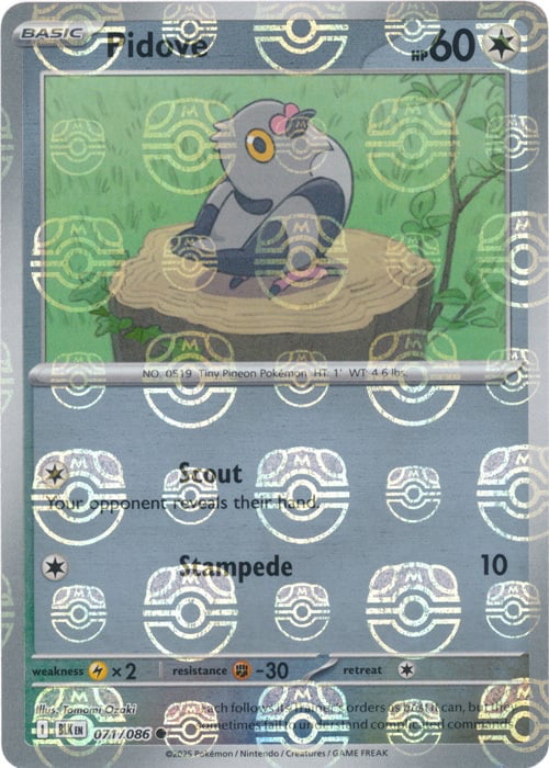 Black Bolt Pidove #71/86 Masterball Holo
