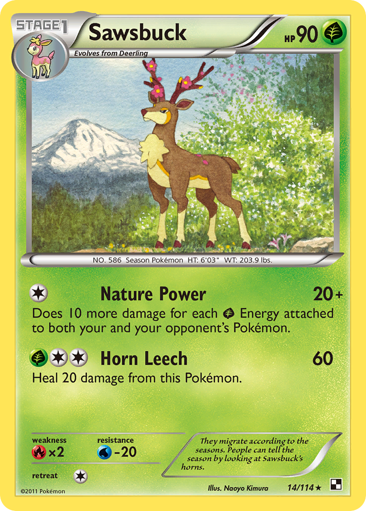 Black & White Holo Sawsbuck #14/114