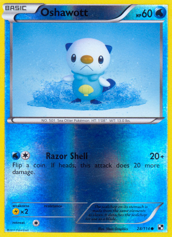 Black & White Oshawott #28/114 reverse holo