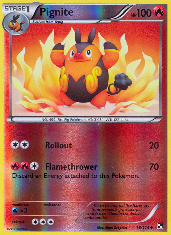 Black & White Pignite #18/114 reverse holo
