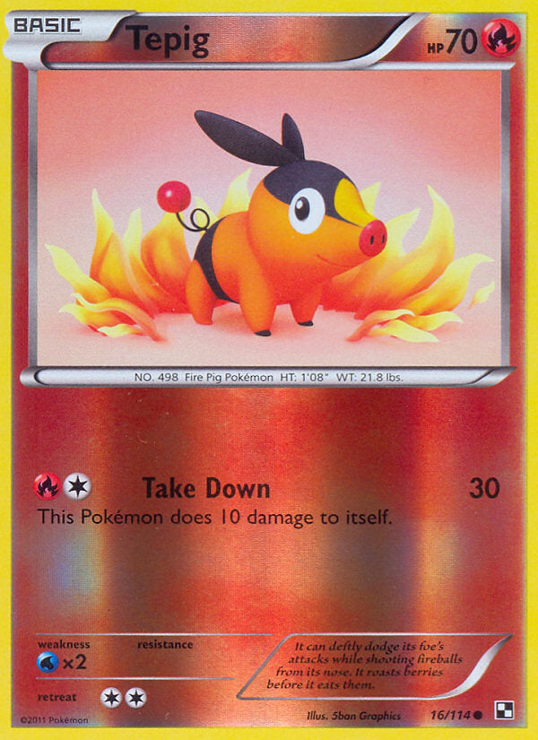 Black & White Tepig #16/114 reverse holo