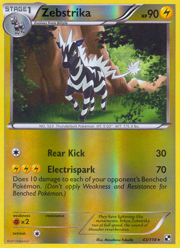 Black & White Zebstrika #43/114 reverse holo