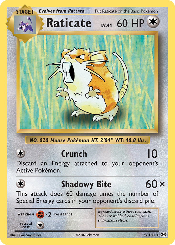 Evolutions Raticate #67/108