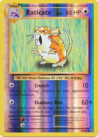 Evolutions Raticate #67/108 reverse holo