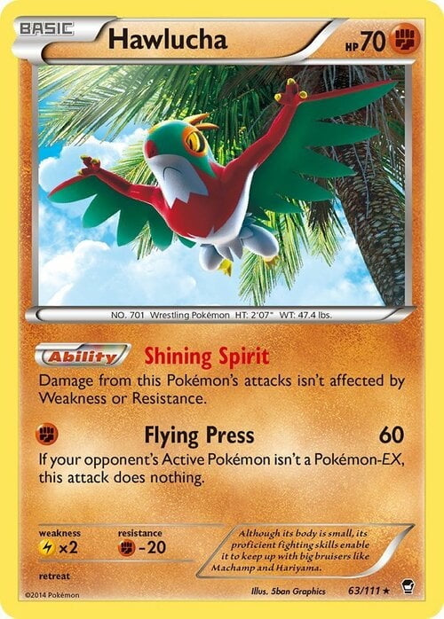 Furious Fists Holo Hawlucha #63/111