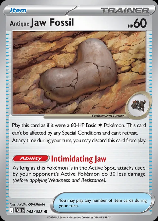 Perfect Order Antique Jaw Fossil #068
