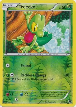 Plasma Freeze Treecko #6/116 reverse holo