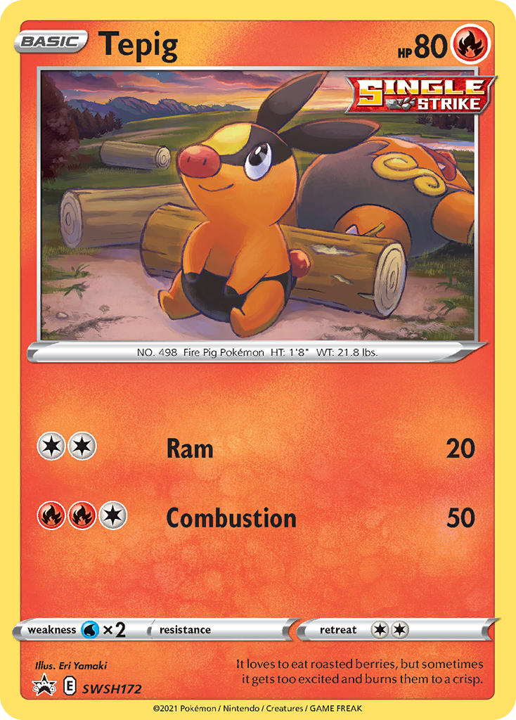Sword & Shield Promo's Holo Tepig #172