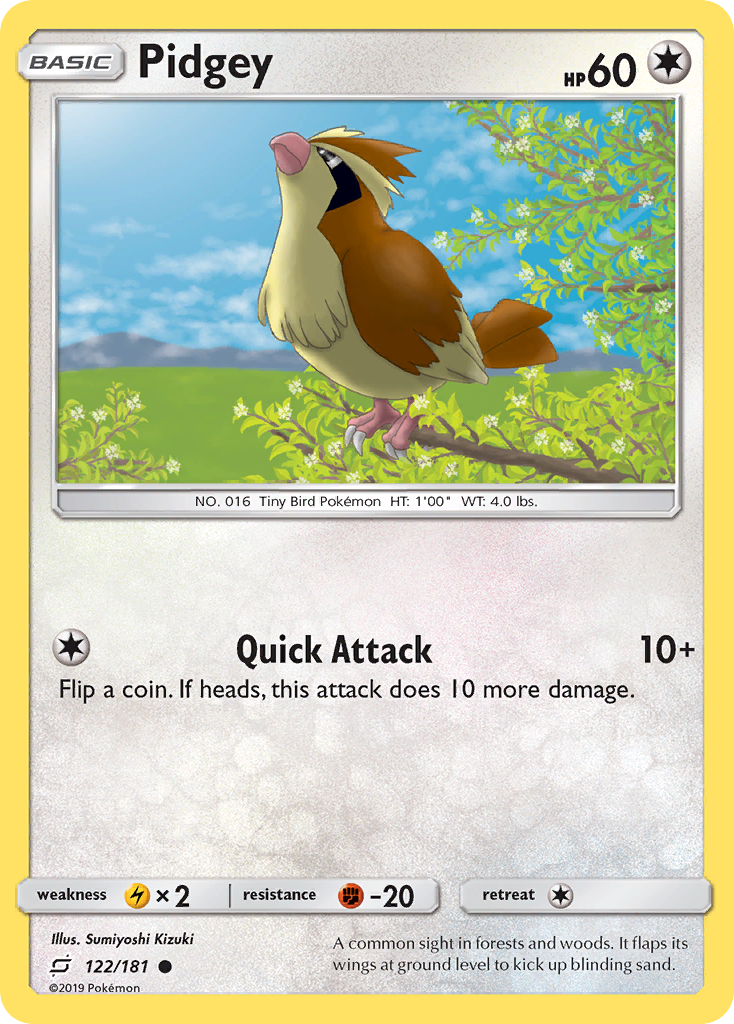 Team Up Pidgey #122/181