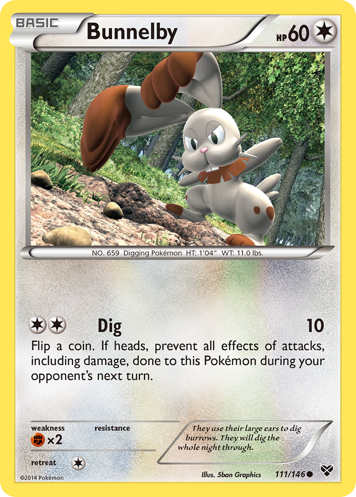 XY Bunnelby #111/146