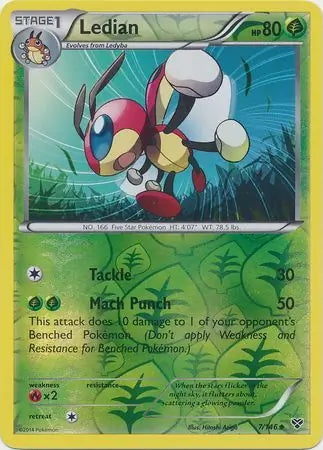 XY Ledian #7/146 reverse holo