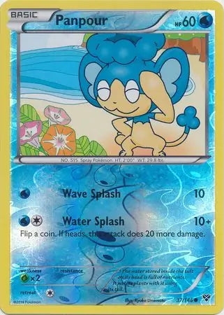 XY Panpour #37/146 reverse holo