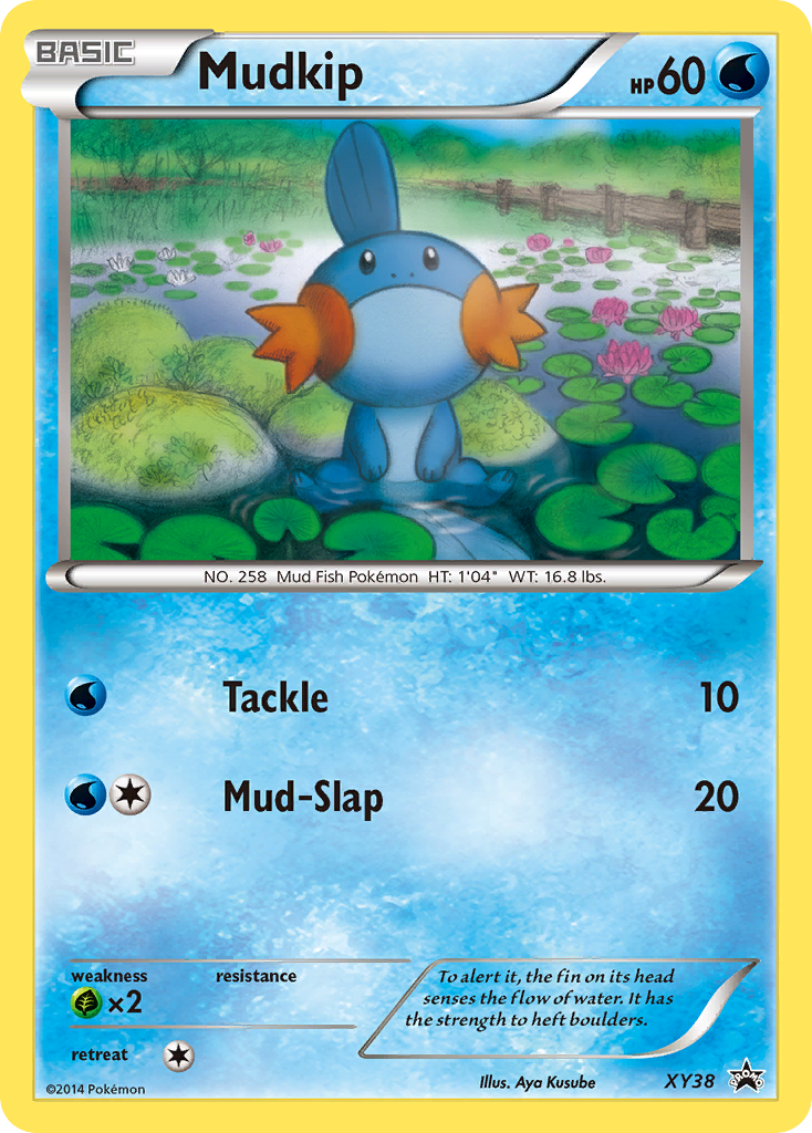 XY Promo Mudkip #38