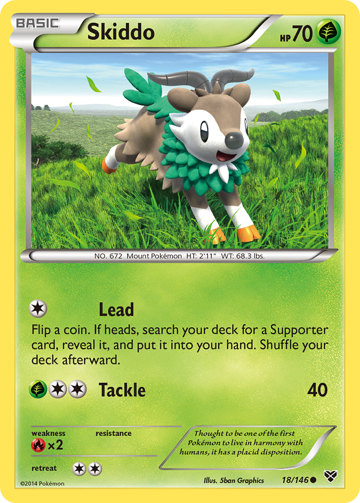 XY Skiddo #18/146